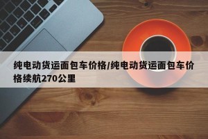 纯电动货运面包车价格/纯电动货运面包车价格续航270公里