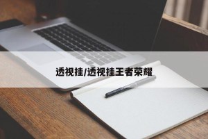 透视挂/透视挂王者荣耀